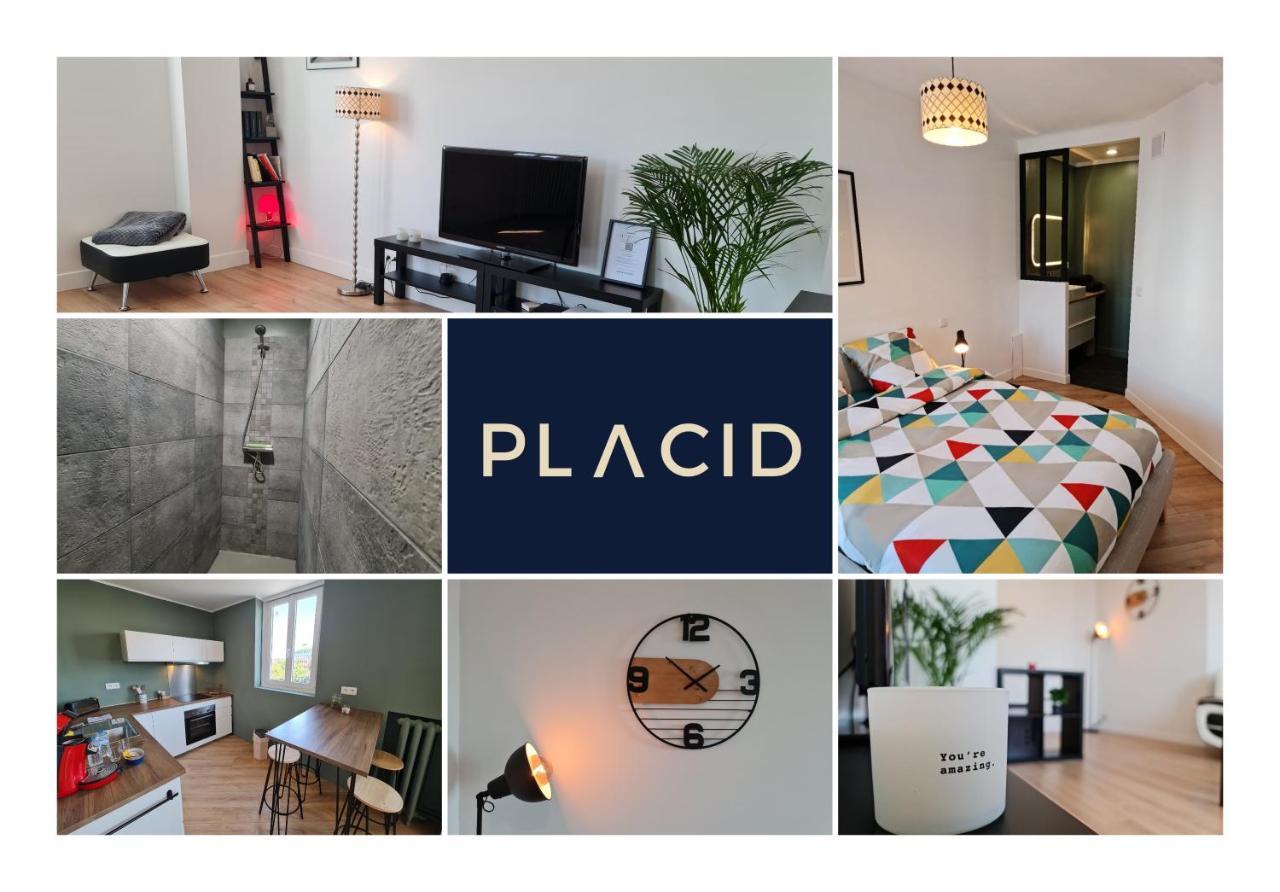 Le Scottmanhouse - Appartement Prive - Centre Ville - Gare - Wi-Fi Арас Екстер'єр фото